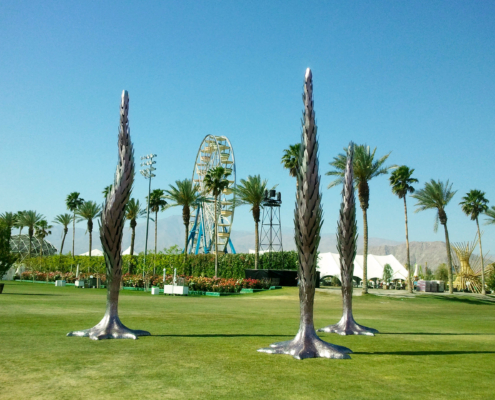 CANDELAPHYTES