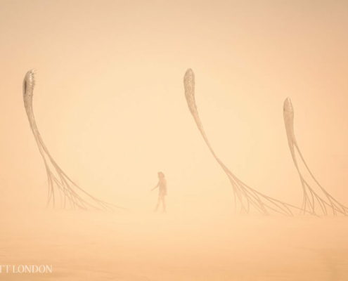 DRIFTS