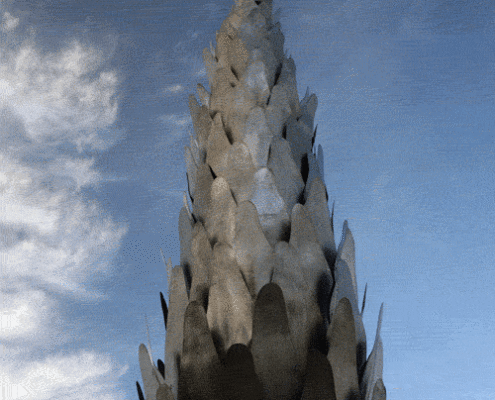 CANDELAPHYTES